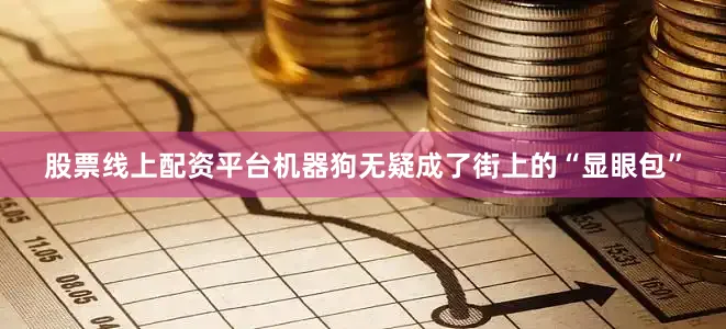 股票线上配资平台机器狗无疑成了街上的“显眼包”