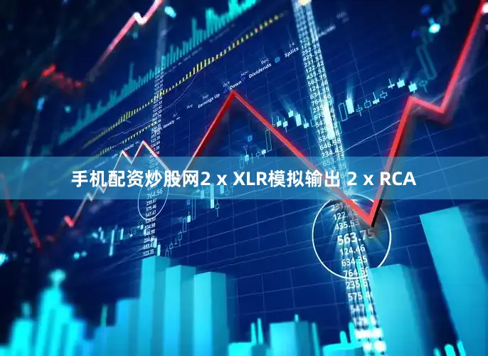 手机配资炒股网2 x XLR模拟输出 2 x RCA