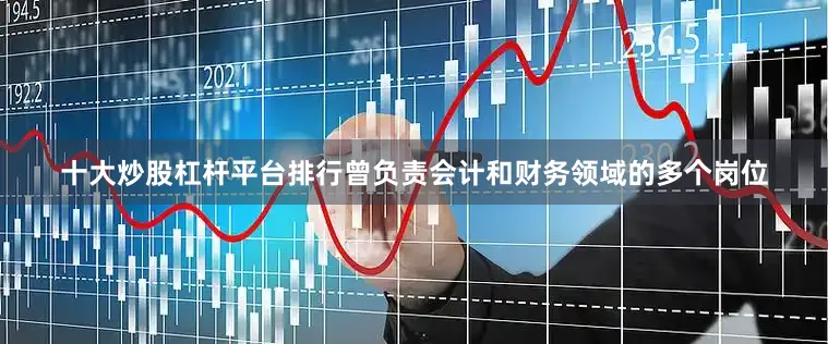 十大炒股杠杆平台排行曾负责会计和财务领域的多个岗位