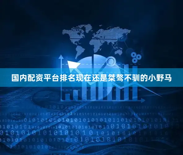 国内配资平台排名现在还是桀骜不驯的小野马