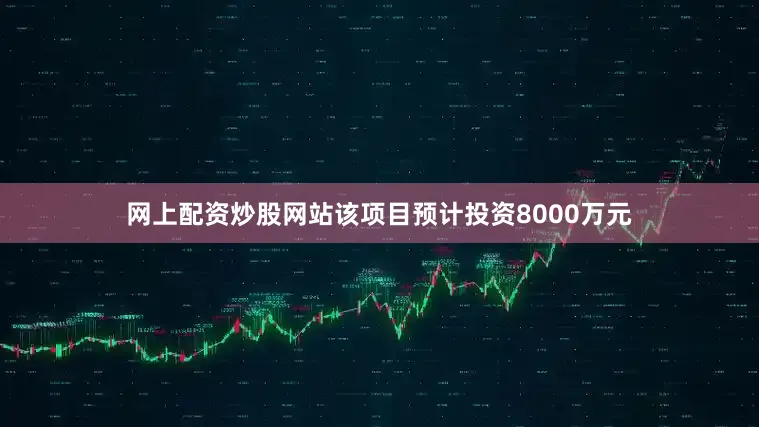 网上配资炒股网站该项目预计投资8000万元