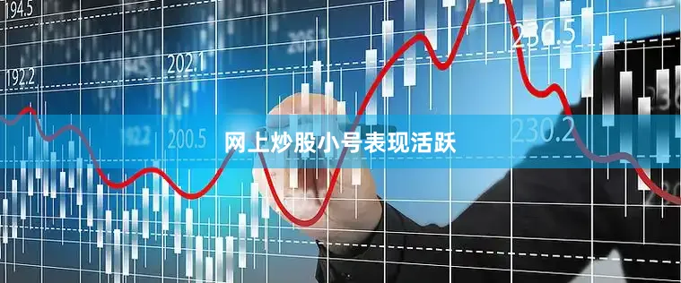 网上炒股小号表现活跃